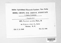 Image Associated With the Occurence